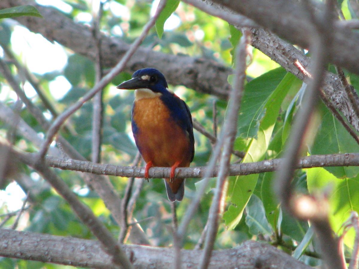 Corroboree Park Tavern Hotel Marrakai Luaran gambar